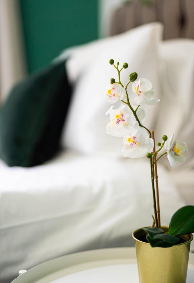 Comfortable House In Nuneaton Sleeps5 Free Parking Good Amenites Zewnętrze zdjęcie